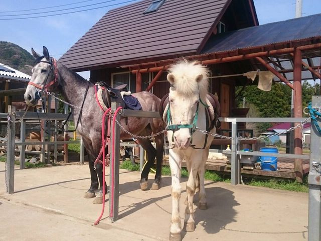 n̂߂ƃLNłBiEEEj
ƂĂAŁA&#9825;_n