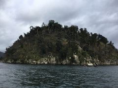 }Cann̒|N[Y(Í`/i΋DD)ւ̓eʐ^1