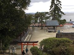 }Cann̔颐_Ђւ̓eʐ^1