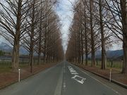 Ђł񂳂̍s}Lm_ƌ}LmsbNh̓eʐ^1