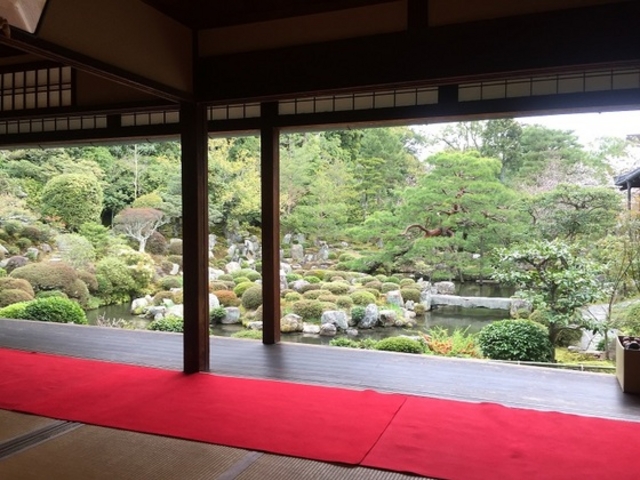 qώ҂Ȃ̂ŗĒw邱Ƃł܂_@