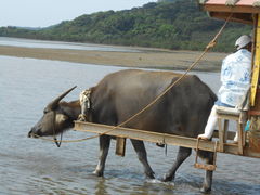 No[̐Ί_h[όւ̓eʐ^1