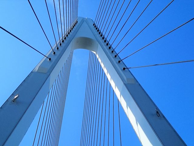 ���̐^������I_���܂Ȃ݊C��