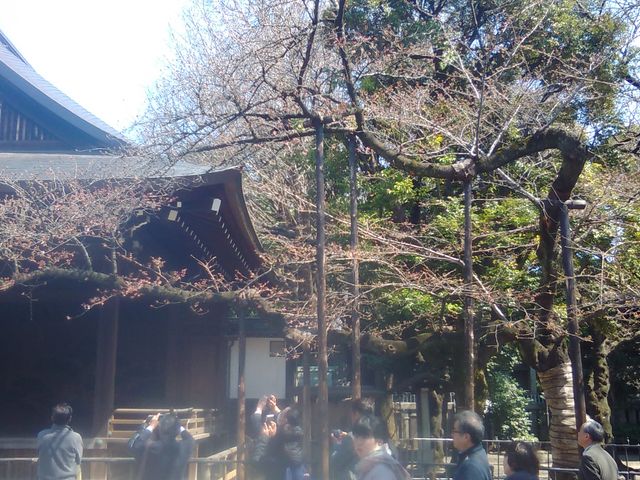 ��
_������_�{