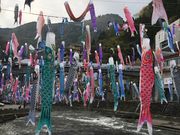 poporon̏񗧉̓eʐ^4