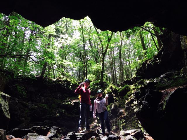 �{���ɂ���Ȏʐ^�B��܂�_�y�m�G�R�c�A�[�E�T�[�r�X