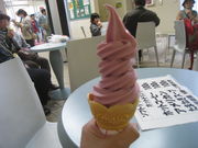 ҂̓̉w [󒎂̓eʐ^1