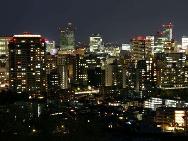 �t�隬���猩�����s���S���̖�i�ł��B_�t�隬