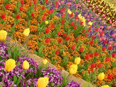 炽܂̎Rt[Z^[EnCW̑ւ̓eʐ^1