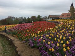 炽܂̎Rt[Z^[EnCW̑ւ̓eʐ^2