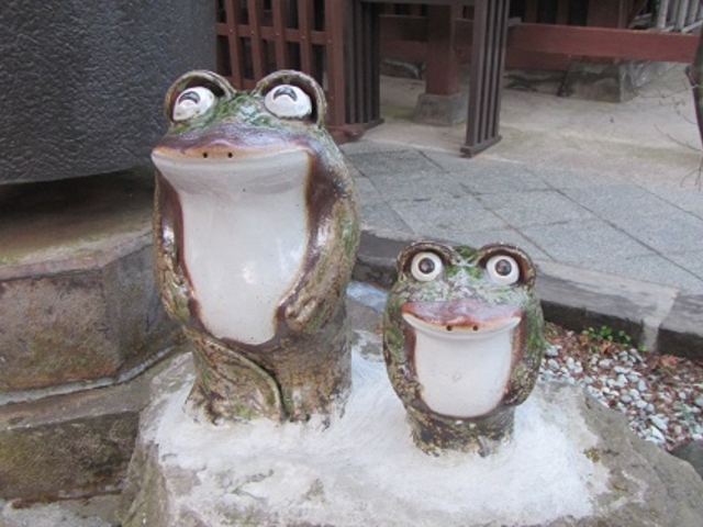 �J�G�������̂��E�E�H_�ɍ��ې_��