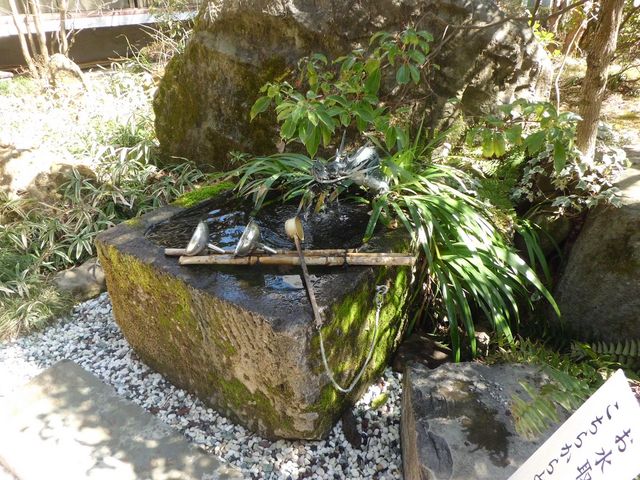 名水・姫の井戸。_武田神社
