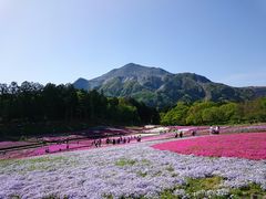 だいすっき！さんの武甲山の投稿写真1