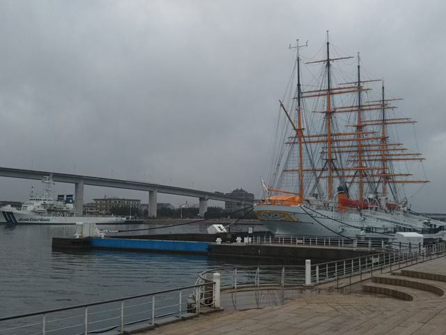 �C���ۂƏ����D_�C���ۃp�[�N