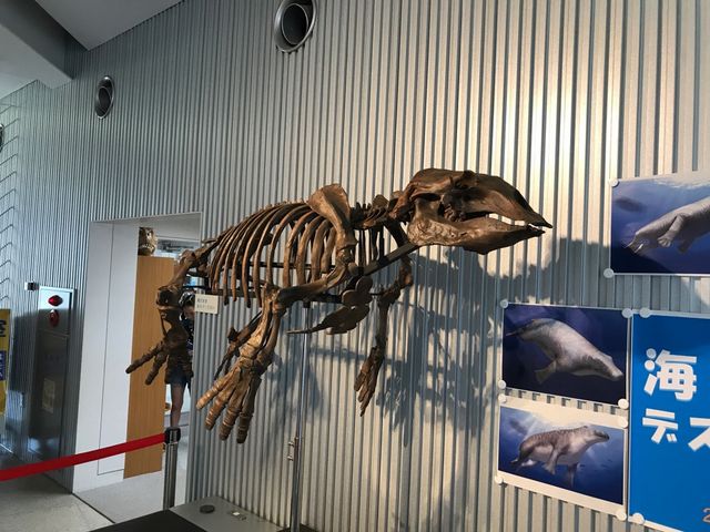 ���΁I�ł����I_���񓮕����Δ�����