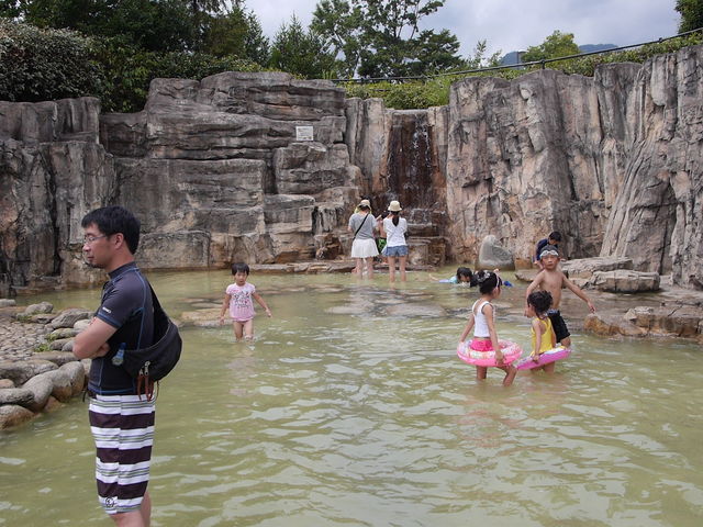 ���V�я�_�J����t���[�c�����E�t���[�c�Z���^�[