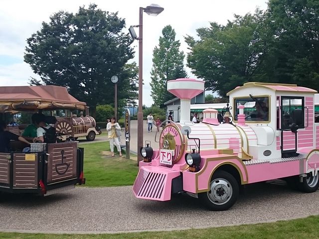 ��蕨_�J����t���[�c�����E�t���[�c�Z���^�[