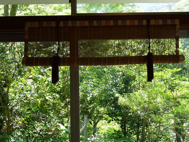 �V��_���_�t