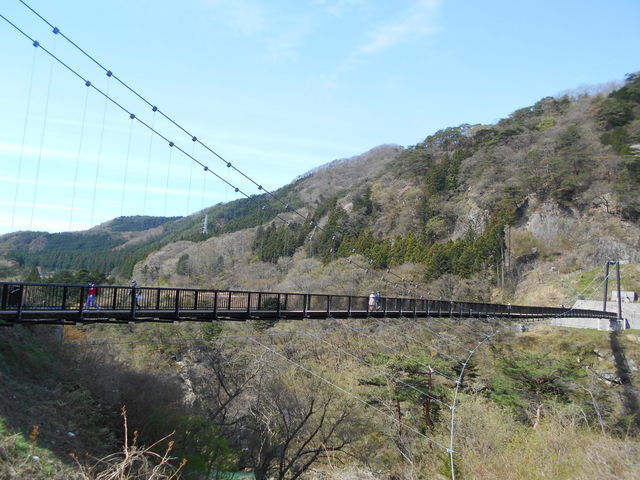 ��݋�_�S�{�|���݋�