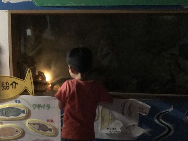 ^ł^ ^_Vp[Z^[킭킭CكV`h`ic