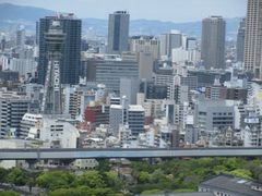 Ƃ񂳂̃nJX300ւ̓eʐ^1