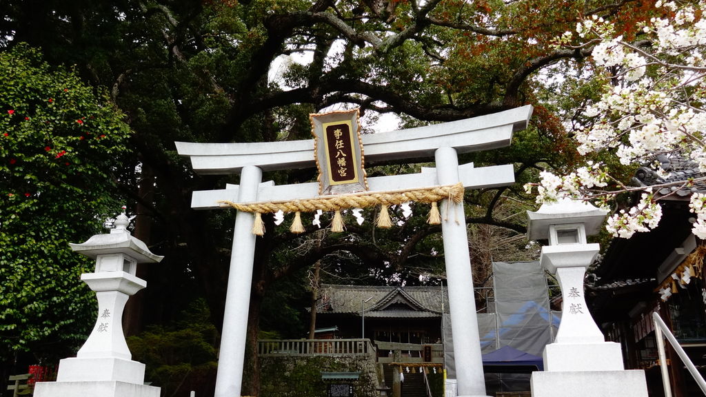 掛川市の神社 神宮 寺院ランキングtop10 じゃらんnet