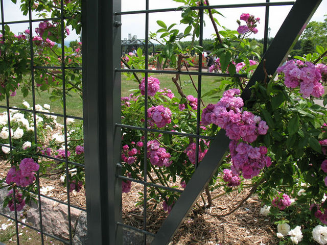 �o����_����݂�������o����