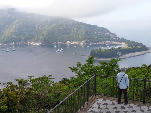 �˓c�̍`_�o������