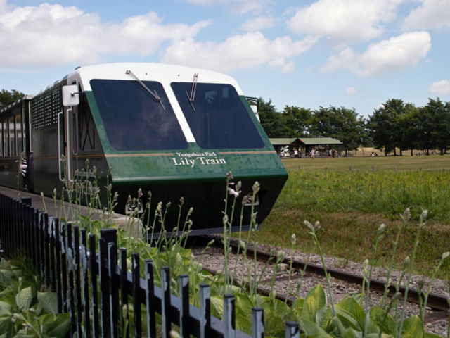 �����[�g���C��_�S����������