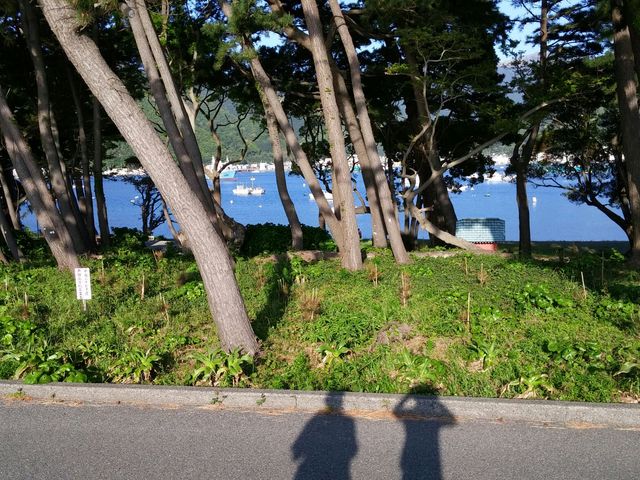 ���ԏ�̔��Α��ɂ͌˓c�p��������B_��l������