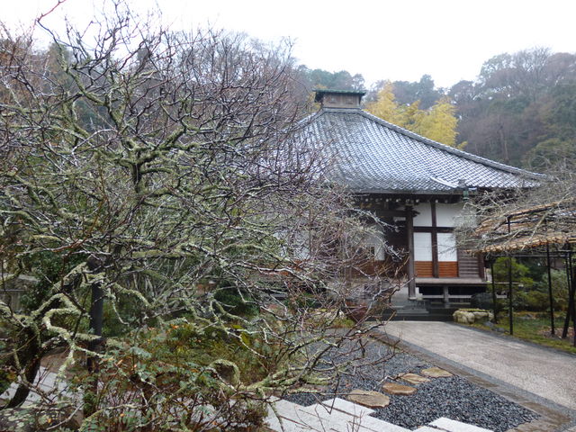 ���X�Ƃ������������ł���_������