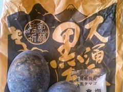 usa����̋ʎq�����ւ̓��e�ʐ^1