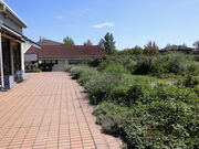 ݂̖̐؁@n[oCtJbW̓eʐ^1