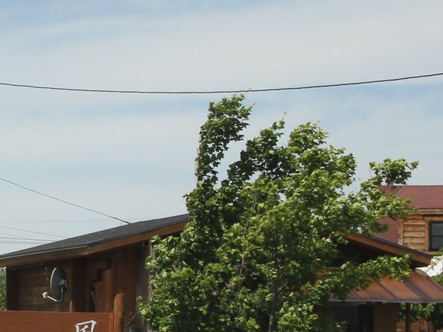 GhLunch&cafe ̓eʐ^1