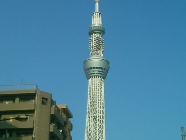 w^`bNȕ҂ݍ݂̂悤Ȗ͗l̓XJCc[x_XJCc[