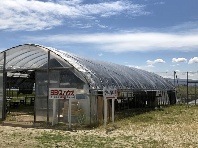 �o�[�x�L���[�̏ꏊ�B�������̋������ł������A���K�ɉ߂����܂���_���c�t�@�[���@�x���[��