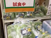 ܂邱̓̉w Hn̓eʐ^3