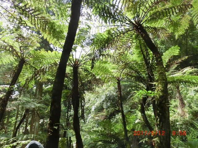 �w�S�̐X_�����w�S