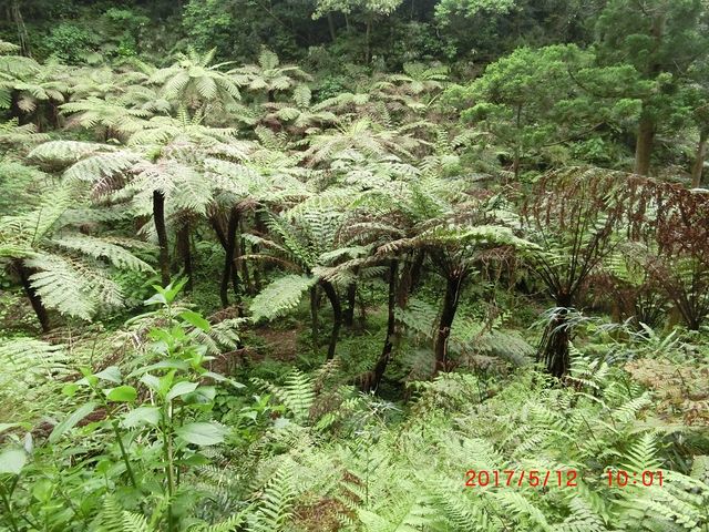 �w�S�̐X_�����w�S