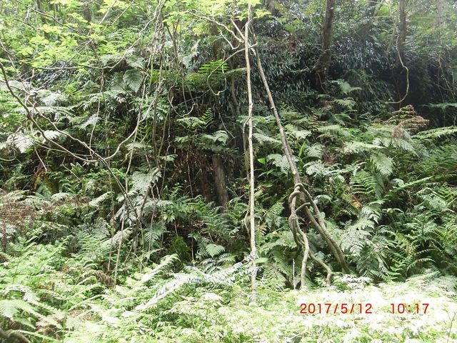 ���l����ő��o�����A�c�������������B_�����w�S