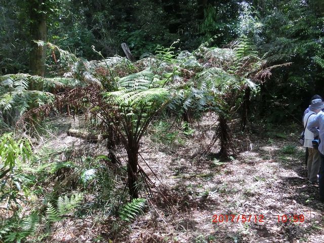 �w�S�̐X_�����w�S