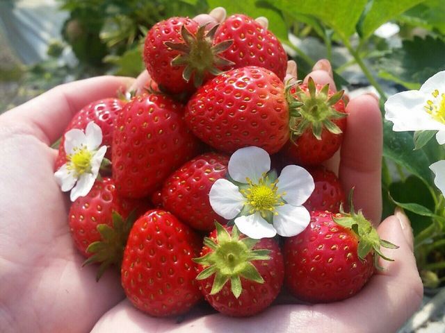 �E�݂��Ă̂������B_������O�g3D��������