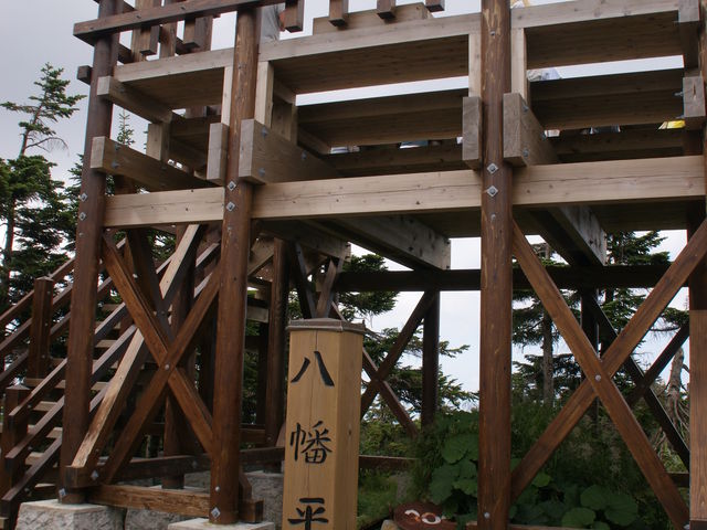 ����_������