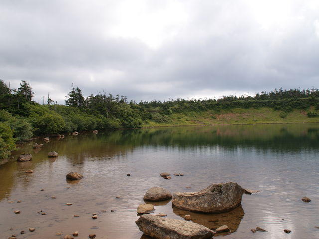 ���Q_������