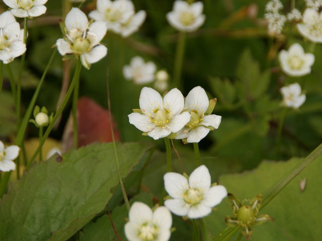 �E���o�`�\�E_������