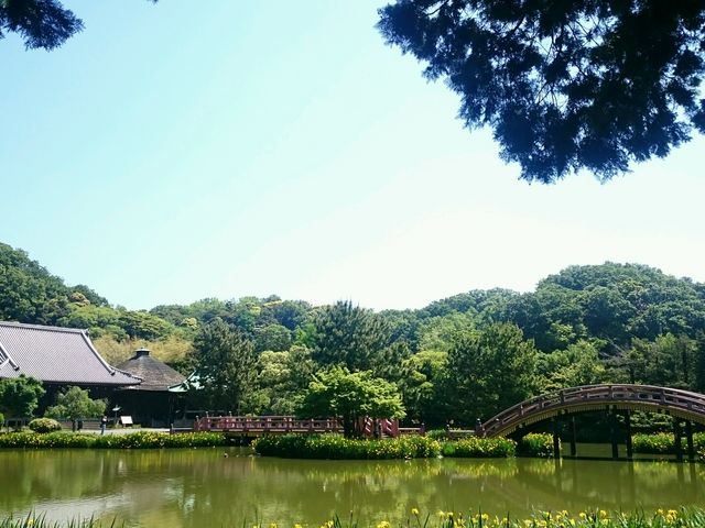 ���ٓ��H�ׂ�̂ɍœK�B
�r�ɂ͂��킢���T���������񂢂܂��B_�̖����뉀