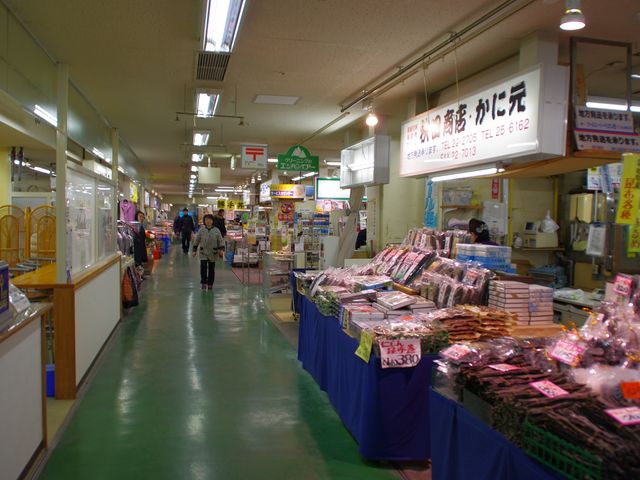 �s��̗l�q_�a���s��