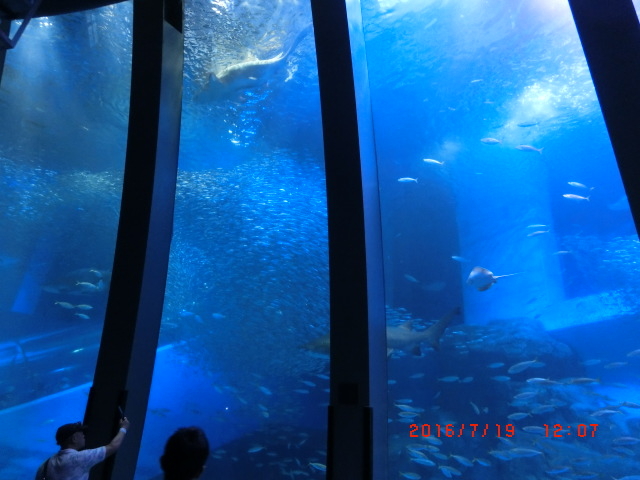 ���吅��_���l�E���i���V�[�p���_�C�X