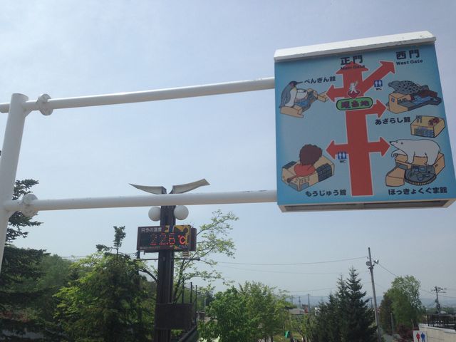 5���Q�O���P�Q���߂��̋C���ł�_���R������