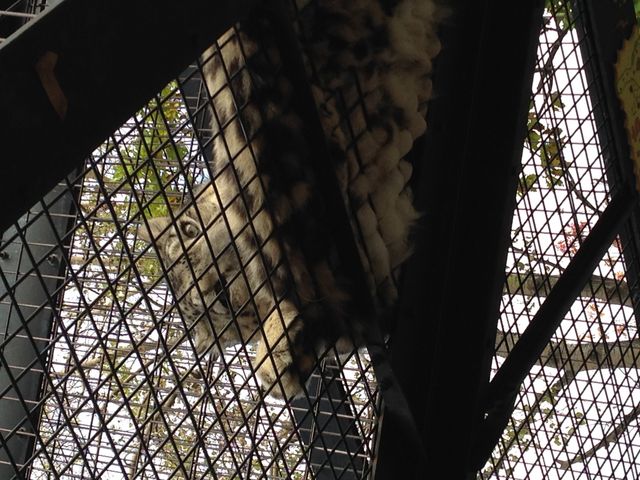 ���R������_���R������